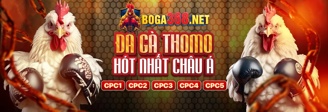Đá Gà Trực Tuyến 4twbet Login - Sân Chơi Đỉnh Cao